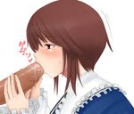  1girl blush brown_hair fellatio hetero highres large_penis oral penis profile red_eyes rozen_maiden saliva shiro-inu short_hair solo_focus souseiseki sweatdrop 