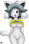  anthro breasts clothed clothing female hair hi_res mammal simple_background temmie_(undertale) undertale video_games zinzoa 