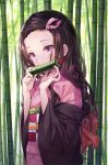  1girl bamboo bamboo_forest bit_gag black_hair brown_hair checkered commentary day fingernails forehead forest gag gradient_hair hair_ribbon hands_up highres hitsukuya japanese_clothes kamado_nezuko kimetsu_no_yaiba kimono long_hair long_sleeves looking_away mouth_hold multicolored_hair nail_polish nature obi off_shoulder outdoors pink_eyes pink_kimono pink_nails pink_ribbon ribbon sash solo upper_body wide_sleeves 
