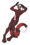  ailurid animal_genitalia animal_penis athletic bottomless canine_penis clothed clothing hi_res knot lying male mammal mioui penis red_panda solo 
