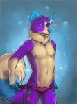  anthro canid canine canis clothing domestic_dog free-opium fur hi_res male mammal nipples pinup pose puptart solo underwear 