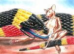  2003 anthro anthro_on_feral anthro_penetrated areola bestiality blue_tongue breasts brown_eyes coral_snake cunnilingus darkwolfie elapid_(snake) eyes_closed fangs female feral feral_penetrating feral_penetrating_anthro forked_tongue fur hand_on_head head_tuft interspecies looking_pleasured mammal mouse murid murine navel open_mouth oral outside penetration pink_areola pussy reptile rodent scalie sex signature simple_background sitting size_difference small_breasts smaller_female snake tongue traditional_media_(artwork) vaginal vaginal_penetration white_fur 