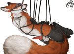  2019 animal_genitalia animal_penis anthro balls bdsm black_nose bondage bound canid canine canine_penis collar dipstick_tail erection fluffy fluffy_tail fox fur gag gagged hands_behind_back harness knot lizet male mammal multicolored_tail penis ring_gag simple_background solo suspension tongue tongue_out white_background white_balls 