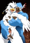  2018 absurd_res alios anthro avian balls bird blue_eyes blue_feathers bodily_fluids breath_of_the_wild brown_eyes duo feathers genital_fluids hi_res humanoid_penis kass_(tloz) male male/male nintendo nipples nude open_mouth penis precum rito sex standing standing_sex teba_(tloz) the_legend_of_zelda video_games white_feathers 