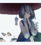  1girl absurdres bird blue_dress blue_hair commentary_request dress flower highres holding holding_umbrella karakasa_obake lantern letterboxed long_sleeves red_eyes shirt short_hair simple_background tatara_kogasa teruterubouzu touhou umbrella white_background white_shirt zhixie_jiaobu 