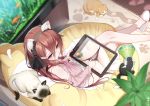  animal animal_ears bai_yemeng cat original panties underwear 