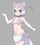  1girl :d adapted_costume animal_ears apron bangs bare_shoulders bikini_top blue_eyes breasts collar collarbone cowboy_shot dog_(mixed_breed)_(kemono_friends) dog_ears dog_tail elbow_gloves eyebrows_visible_through_hair fang flying_sweatdrops frilled_apron frilled_skirt frills gloves grey_background grey_hair grey_skirt heterochromia kemono_friends looking_at_viewer medium_breasts multicolored_hair navel nyifu open_mouth short_hair simple_background skirt smile solo stomach tail two-tone_hair waist_apron white_gloves white_hair yellow_eyes 