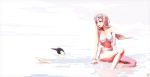  animal bikini bird long_hair navel original penguin pink_hair sakimori_uta sunglasses swimsuit water 