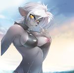  blush breasts clouds furry highres middle_finger nipple short_hair silver_hair sky smile solo swimsuit tsampikos water wet yellow_eyes 