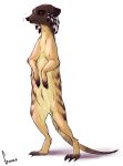  2017 digital_media_(artwork) digitigrade fur gyshka herpestid hi_res long_tail mammal meerkat paws shadow signature simple_background solo standing white_background 