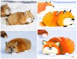  animated bouncing bread canid canine digital_media_(artwork) eyes_closed food fox humor keke loaf loop mammal pixel_(artwork) red_fox reference_image snow 