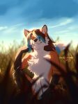  2019 anthro brown_hair canid canine chest_tuft day detailed_background digital_media_(artwork) eyes_closed fox fur hair lukiri mammal orange_fur outside sky smile solo tuft white_fur 