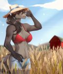  2019 5_fingers barn black_hair black_nose bottomwear breasts clothed clothing detailed_background digital_media_(artwork) farm farmer female fingers fur hair hat headgear headwear hi_res long_hair looking_aside mammal outside pose procyonid raccoon ranch seductive shorts smile solo standing sunny yumich 