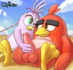  angry_birds avian balls beak bird bodily_fluids eyebrows feathers female genital_fluids gobanire green_eyes handjob hi_res male male/female one_eye_closed penile penis precum reclining red_(angry_birds) sex silver_(angry_birds) thick_eyebrows video_games yellow_eyes 