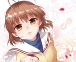  1girl antenna_hair beige_jacket blue_shirt blurry brown_eyes brown_hair clannad commentary_request depth_of_field furukawa_nagisa hikarizaka_private_high_school_uniform looking_at_viewer misaki_juri petals sailor_collar school_uniform shirt short_hair solo turtleneck upper_body white_sailor_collar 