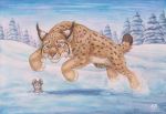  dolphydolphiana duo ear_tuft felid feline feral jumping lynx mammal mouse murid murine predator/prey rodent snow tree tuft 