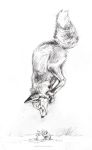  2019 ambiguous_gender canid canine digitigrade duo feral fox graphite_(artwork) greyscale jumping kenket looking_down mammal monochrome mouse murid murine outside pencil_(artwork) pounce predator/prey red_fox rodent sketch smile smirk snow snowman traditional_media_(artwork) url 
