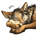  1:1 2016 alpha_channel ambiguous_gender black_claws black_fur black_nose brown_fur bust_portrait canid canine canis claws coyote digital_media_(artwork) eyes_closed feral front_view fur kenket lying mammal multicolored_fur on_front paws portrait reaction_image simple_background sleeping solo sound_effects sticker toe_claws transparent_background white_fur zzz 