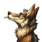  1:1 2016 alpha_channel ambiguous_gender black_eyes black_fur black_nose brown_fur canid canine canis cigarette coyote digital_media_(artwork) feral fur headshot_portrait kenket looking_up mammal multicolored_fur portrait reaction_image side_view simple_background smoking solo sticker tan_sclera transparent_background white_fur 