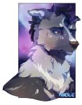  2019 brown_nose canid canine canis digital_media_(artwork) domestic_dog fur grey_fur hair headshot_portrait mammal portrait purple_hair ravoilie 