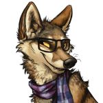  1:1 2016 alpha_channel ambiguous_gender black_eyes black_fur black_nose brown_fur canid canine canis coyote digital_media_(artwork) eyewear feral front_view fur glasses headshot_portrait kenket looking_aside mammal multicolored_fur portrait reaction_image scarf sharp_teeth simple_background smile smirk solo sticker stickers tan_sclera teeth transparent_background white_fur 