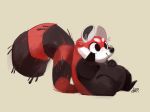  2019 ailurid anthro belly black_fur black_nose dar-draws dar_alt fur hi_res mammal red_fur red_panda simple_background sitting slightly_chubby solo 