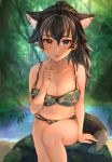  1girl absurdres alternate_hairstyle ancolatte_(onikuanco) animal_ears bikini black_hair blue_eyes breasts cleavage collarbone commentary commentary_request day extra_ears forest grey_wolf_(kemono_friends) heterochromia highres kemono_friends large_breasts light_rays long_hair looking_at_viewer multicolored_hair nail_polish nature navel outdoors plant ponytail rock sitting sitting_on_rock solo sunlight swimsuit tail tongue tongue_out two-tone_hair water white_hair wolf_ears wolf_girl wolf_tail yellow_eyes 
