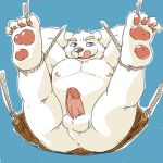  1:1 2013 anthro balls belly blue_background blue_eyes bound butt erection feet fur humanoid_penis male mammal moobs nipples penis polar_bear simple_background slightly_chubby solo supaucat ursid ursine white_fur 