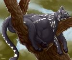  abdominal_bulge black_fur domestic_cat felid feline felis fur invalid_background jaguar mammal pantherine paws post_vore roobin sleeping tree vore 