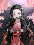  1girl bamboo bit_gag black_hair checkered_obi cherry_blossoms cowboy_shot forehead gag hair_ribbon haori head_tilt japanese_clothes kamado_nezuko kimetsu_no_yaiba kimono long_hair looking_at_viewer multicolored_hair naru_(ul) orange_hair petals pink_eyes pink_kimono ribbon solo two-tone_hair wide_sleeves 