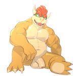  1:1 bowser flaccid hi_res humanoid_penis jrjresq koopa looking_at_viewer male mario_bros nintendo nude penis scalie solo uncut video_games 