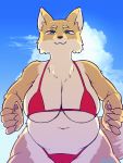  2019 animated anthro belly big_breasts bikini bouncing_breasts breasts canid canine clothing female fur looking_at_viewer mammal morokko slightly_chubby smile solo swimwear 