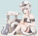  1girl :d animal_ear_fluff animal_ears arknights armband asymmetrical_legwear bandeau bangs bare_arms bare_shoulders belt beret black_belt black_legwear black_shorts blue_background blue_eyes blush cat checkered cliffheart_(arknights) collarbone commentary_request dress eyebrows_visible_through_hair hat highres jewelry looking_at_viewer miaomao mismatched_legwear no_shoes open_clothes open_dress open_mouth pendant pocket short_hair short_shorts shorts silver_hair single_thighhigh sitting sleeveless sleeveless_dress smile socks solo strapless tail thighhighs tiger_ears tiger_tail tubetop white_dress white_headwear white_legwear 
