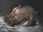  2019 anthro balls bezdomny bodily_fluids brown_fur butt cum eyewear feet fur genital_fluids glasses hi_res male mammal overweight overweight_male pillow solo ursid 