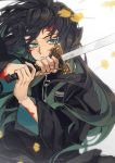  1boy black_hair blood blood_on_face doran7280 expressionless green_eyes highres holding holding_sword holding_weapon kimetsu_no_yaiba leaf looking_at_viewer male_focus solo sword tokitou_muichirou weapon 