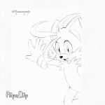  1:1 animated canid canine fox invalid_tag mammal miles_prower pepamintop sonic_(series) tails_(disambiguation) 
