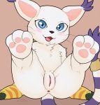  2019 3_toes anus blue_eyes blush claws clothing cute_fangs digimon digimon_(species) felid female fur gatomon gloves handwear hi_res hindpaw inviting legs_up looking_at_viewer lotus55 mammal nude open_mouth pawpads paws presenting presenting_pussy pussy simple_background sitting solo spread_legs spreading toes tongue whiskers white_fur 