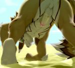  absurd_res anus balls butt canid canine canis catn1p erection hi_res humanoid_penis jackal looking_at_viewer looking_back low-angle_view male mammal penis perineum presenting presenting_hindquarters sand seth_(tas) tokyo_afterschool_summoners video_games 