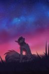  2019 anthro brown_fur canid canine canis detailed_background digital_media_(artwork) fur grass hi_res kneeling koul male mammal night outside sky solo star starry_sky wolf 