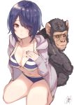  1girl animal aogiri_koukou_game_club bikini bikini_under_clothes blue_bikini blue_hair breasts closed_mouth collarbone eyes_visible_through_hair hair_over_one_eye highres jacket large_breasts looking_at_viewer monkey ontama_tamako open_clothes open_jacket red_eyes short_hair signature simple_background sitting striped striped_bikini swimsuit user_autw2784 wariza white_background 