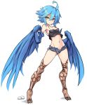  1girl ahoge bangs black_camisole blue_hair blue_shorts blue_wings blush breasts brown_eyes camisole collarbone egg eyebrows_visible_through_hair feathered_wings full_body groin hair_between_eyes harpy highres karukan_(monjya) looking_at_viewer monster_girl monster_musume_no_iru_nichijou navel open_clothes open_fly open_shorts papi_(monster_musume) parted_lips shadow short_shorts shorts simple_background small_breasts solo standing talons white_background winged_arms wings 