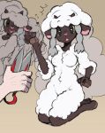  ambiguous_gender anthro blush braided_hair breasts female group hair hi_res horn nintendo pok&eacute;mon pok&eacute;mon_(species) shear_(disambiguation) simple_background sketch sketchy_skylar sweat_drops video_games wooloo 