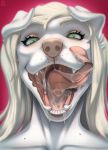  2019 blonde_hair bodily_fluids canid canine canis digital_media_(artwork) domestic_dog drooling eyelashes green_eyes hair long_tongue mammal mouth_shot open_mouth rayley saliva teeth tongue 
