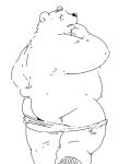  2018 anthro belly butt clothing humanoid_hands male mammal overweight overweight_male pommn_mn simple_background solo underwear ursid white_background 