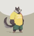  2019 anthro binturong bottomwear clothing cyanroll hi_res humanoid_hands male mammal overweight overweight_male shirt shorts simple_background solo topwear viverrid 