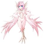  ahoge blue_eyes blush breasts cameltoe cleavage feathers frfr harpy jpeg_artifacts medium_breasts monster_girl original pink_hair smile solo tail wings 