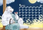  2019 anthro belly clothing fur humanoid_hands inuryu male mammal moobs moon night outside polar_bear robe sitting slightly_chubby solo ursid ursine white_fur 