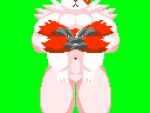  4:3 animated anthro big_breasts bouncing_breasts breasts claws digital_media_(artwork) duo featureless_breasts featureless_crotch female green_background larger_female looking_at_viewer loop mammal nintendo pixel_(artwork) pixel_animation pok&eacute;mon pok&eacute;mon_(species) simple_background size_difference smaller_female under4_mow video_games zangoose 