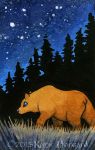  2015 detailed_background grass katie_hofgard low_res mammal night outside sky star starry_sky traditional_media_(artwork) ursid 