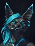  2014 ambiguous_gender anthro black_background black_fur blue_eyes blue_hair canid canine digital_media_(artwork) ear_piercing ear_ring fennec fox fur hair katie_hofgard mammal piercing simple_background smile solo 